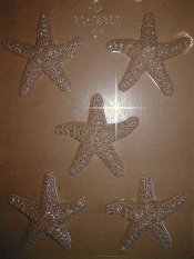 Detailed Fine Starfish, Plastic Mold - %%product%%